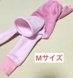 Item thumbnail for item d34482dc-7a62-4200-b749-9062f8a1c444