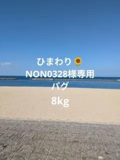 NON0328様専用　パグ4輪　リハビリ　食事補助　犬用車椅子　介護　犬の歩行器