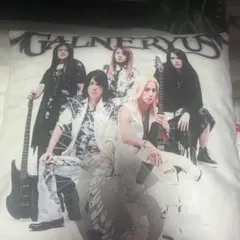 Galneryus ギター メンバースクエア スローピローカバー 45×45