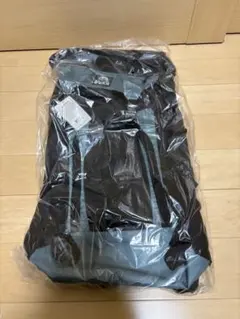 Item thumbnail for item 9e2bda3f-0876-4a9f-a640-5d34fea5094a