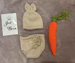 ニューボーンフォト うさぎ にんじん マンスリーカード