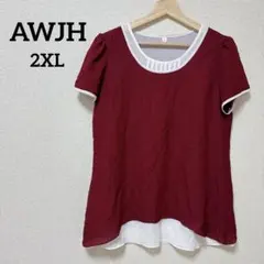 美品✨AWJH【2XL】ワインレッド ショートスリーブ チュニック