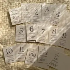 Item thumbnail for item 0d0b9f3b-4206-4237-a1bc-d8d473c7ba6a