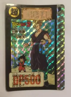 ドラゴンボールZ カードダス 631 孫悟飯＆悟天