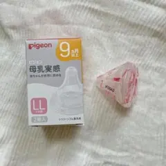 Item thumbnail for item df2539b8-a69d-475e-8c71-dd7c87f301bb