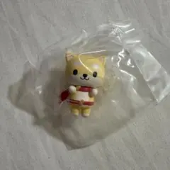 JOCHUM ジェオチャム ならぶんです まめちぃ 豆原一成