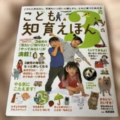 新品3歳こども知育えほん