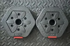 ダンベルプレート 1.25kg 2枚セットのサムネイル