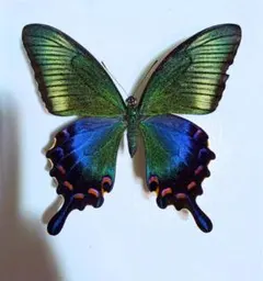 cosmos561015様 リクエスト 3点 まとめ商品