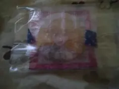 すとふぇす　るうとくん　カンバ等身　オマケ付き‼️