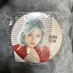 TWICE ジョンヨン　缶バッチ