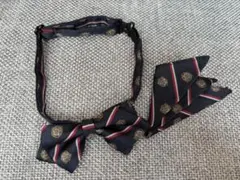 ネイビー ストライプ ボウタイ