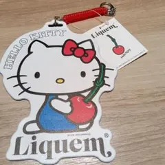 Item thumbnail for item fb355d16-1754-455d-bf57-aa089c7003f1