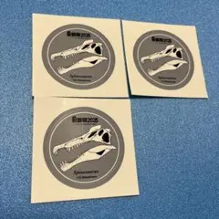 非売品　福井恐竜博物館スピノサウルス ステッカー 2025年デザイン 3枚セット