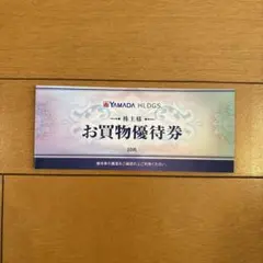 YAMADA HLDGS. お買物優待券 10枚　5000円分