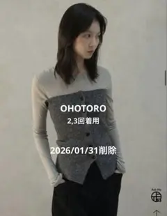 2025年最新】OHOTORO ビスチェの人気アイテム - メルカリ