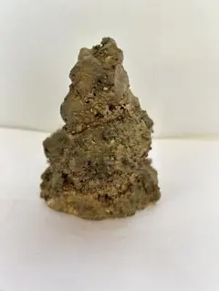 玉杢 逸品 希少 木彫り 熊 置物 咆哮 縁起物 アンティーク - 일본구매