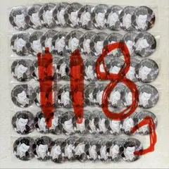 ぷち@プロフ確認推奨 様 専用