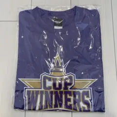 Item thumbnail for item b14b3304-9e41-4898-8d5f-32fcf99b777b