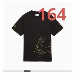 PUMA x ポケモン リラックスド グラフィック フーディ 164 ブラッキー PUMA（プーマ） パーカー メンズ PUMA x ポケモン リラックスド