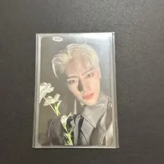 ゼベワン　トレカ　封入　リッキー　デジパ