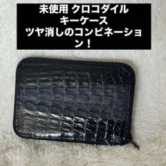 未使用 クロコダイル✴︎キーケース✴︎艶消し