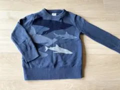 GAP♡サメ シャーク セーター