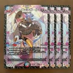 97980 シャワアガール