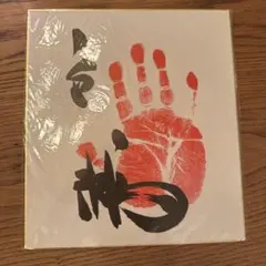 第69代横綱 白鵬の直筆サイン＆手形の色紙 1枚 白鵬】手形 直筆サイン 色紙 横綱印入り 《美品》 - メルカリ