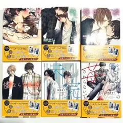 2026年最新】美しい彼 小説セットの人気アイテム - メルカリ