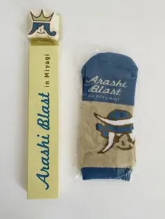 【最終値下げ】新品 未開封 嵐 miyagi 靴下＆ペンライト