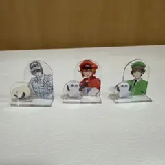 アクリルスタンド 12個セット 多様なキャラクター - メルカリ
