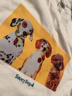 Saucy Dog Tシャツ