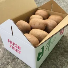 2026年最新】和田果樹園の人気アイテム - メルカリ