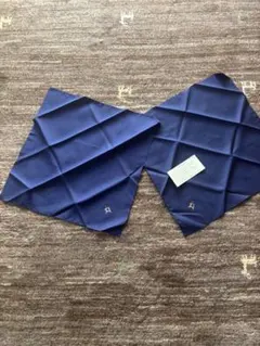 Item thumbnail for item 4e40c557-5ee9-415b-9a48-51420e4f829f