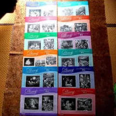 読売新聞　2015年ディズニーキャラクターアートコレクションの25枚全集