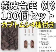 14日まで限定出品 樹皮台座（小） 100個セット おまけ カブトムシ4種付き