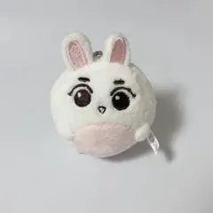 2026年最新】exo スホ ぬいぐるみの人気アイテム - メルカリ