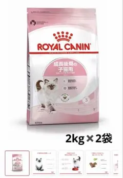 ロイヤルカナン 子猫用 キトン 成長後期 2kg ×2個 計8kg - メルカリ