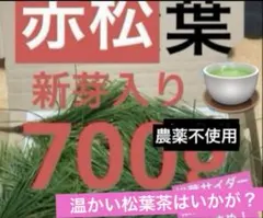 赤松の葉　野菜　岡山県産　松の葉　松葉即日発送　松の葉　野菜　即購入可能　松葉茶のサムネイル