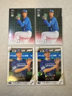 デュラララ!! カラオケの鉄人 カード 平和島静雄 - メルカリ