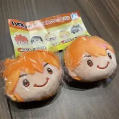 ハイキュー‼︎  日向翔陽 ぬいぐるみクリップ