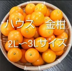 SEI-K　様　専用ページ