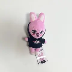 【最終値下げ】　スキズ　DWAEKKI チャンビン ぬいぐるみ