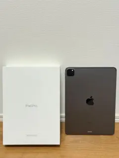 11インチiPad Pro Wi-Fiモデル 256GB おまけ付き 中古 iPad Pro 11インチ 第1世代 Wi-Fi 256GB MTXQ2J/A [スペースグレイ
