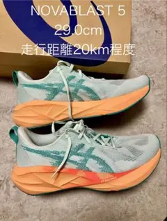 ASICS NOVABLAST 5 29.0cm