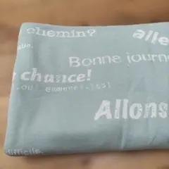 ミントグリーン 裏毛ニット生地 フランス語ロゴ入り