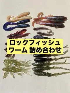 2026年最新】ロックフィッシュ ワームの人気アイテム - メルカリ