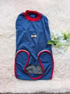 Item thumbnail for item 44afa36f-9c55-4b26-866b-0a5210037d09