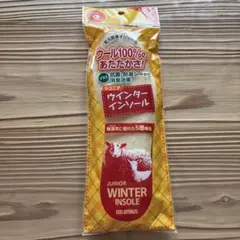 新品☆COLUMBUS ウインターインソール